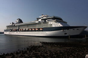 Celebrity Summit