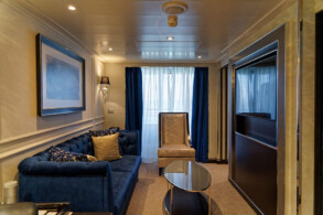Penthouse Suite 917