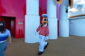 Goofy