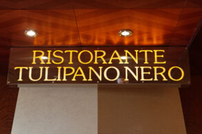 Tulipano Nero