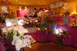 Shops