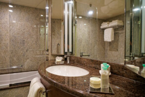 Penthouse Suite 11077