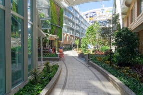 Central Park