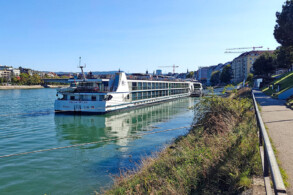 Edelweiss in Basel