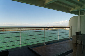 Penthouse Suite 917