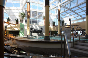 Solarium Pool