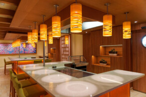 Bonsai Teppanyaki