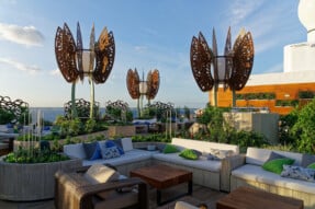 Rooftop Garden