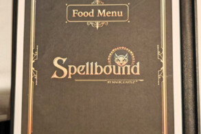 Spellbound by Magic Castle