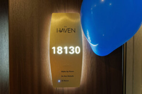 Haven Courtyard Penthouse Wheelchair (H5)