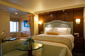 Penthouse Suite 11077