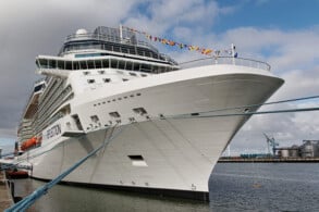 Celebrity Reflection