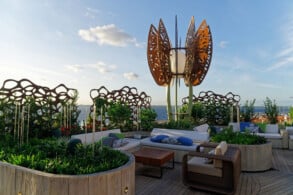 Rooftop Garden