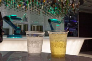 Bionic Bar