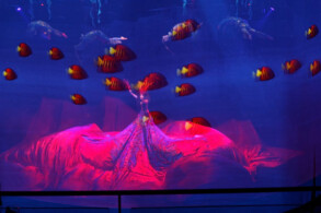 Blue Planet Show