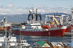 Antarctic Dream