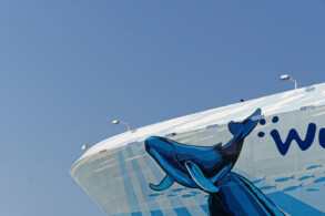 Norwegian Bliss