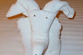 Balkonkabine 7592 - Handtuch-Tier