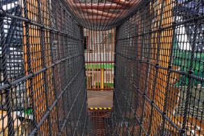 Forest Aquaventure Park