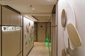 Wellness Area