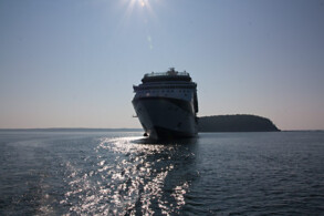 Celebrity Summit