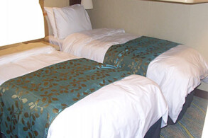 Aqua Theater Suite A2 9730