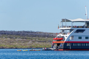Expedition Launch