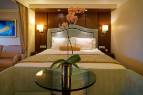 Penthouse Suite 11077