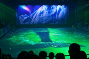 Ice Show, Studio B