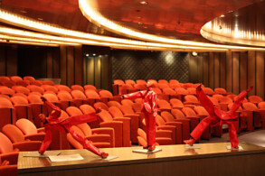 Conference Center - Cinema