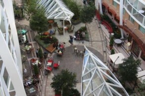 Central Park - Chess Garden - Oasis of the Seas