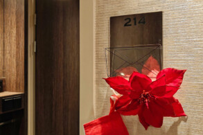 Junior-Suite 214