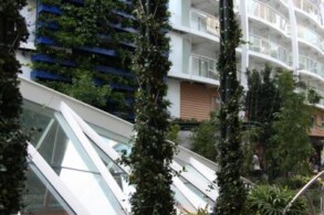 Central Park - Oasis of the Seas