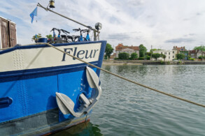 Fleur