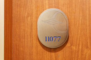 Penthouse Suite 11077