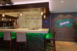 Sugarcane Mojito Bar