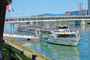 Edelweiss in Basel
