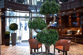 Öffentliche Bereiche