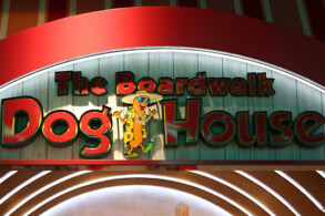 Boardwalk Dog House