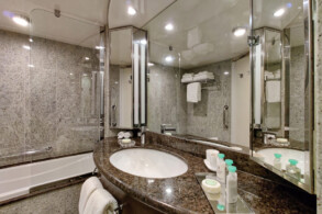 Penthouse Suite 11077