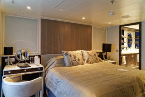 Penthouse Suite 917