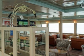 Expedition Lounge und Bar