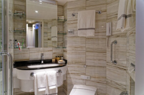 Deluxe Veranda Suite 670