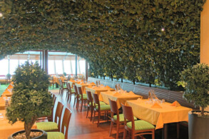 Markt Buffet