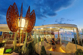 Rooftop Garden