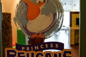 Pelicans (3-7 Jahre)