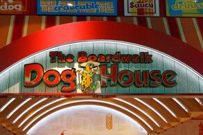 Boardwalk Dog House
