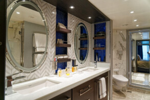 Penthouse Suite 917