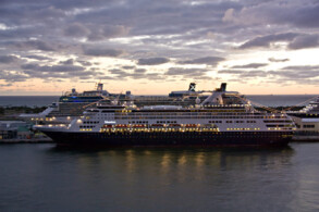Maasdam