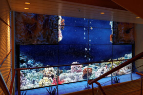 Treppenhaus - Aquarium-Displays